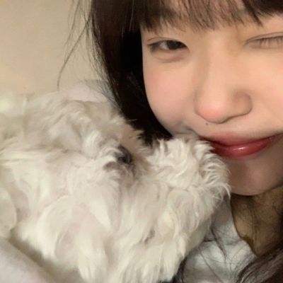 九游布布合丁丁手游官方版下载